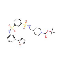 CC(C)(C)OC(=O)N1CCC(CNS(=O)(=O)c2cccc(S(=O)(=O)Nc3cccc(-c4ccco4)c3)c2)CC1 ZINC000169703439