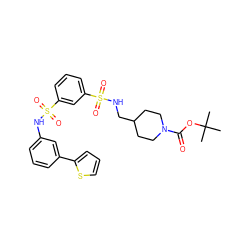 CC(C)(C)OC(=O)N1CCC(CNS(=O)(=O)c2cccc(S(=O)(=O)Nc3cccc(-c4cccs4)c3)c2)CC1 ZINC000169703440