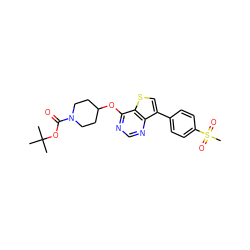 CC(C)(C)OC(=O)N1CCC(Oc2ncnc3c(-c4ccc(S(C)(=O)=O)cc4)csc23)CC1 ZINC000200962132