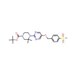 CC(C)(C)OC(=O)N1CCN(c2ncc(OCc3ccc(S(C)(=O)=O)cc3)cn2)C(C)(C)C1 ZINC000084741687