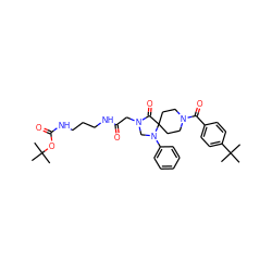 CC(C)(C)OC(=O)NCCCNC(=O)CN1CN(c2ccccc2)C2(CCN(C(=O)c3ccc(C(C)(C)C)cc3)CC2)C1=O ZINC000066252127