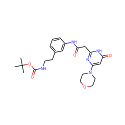CC(C)(C)OC(=O)NCCc1cccc(NC(=O)Cc2nc(N3CCOCC3)cc(=O)[nH]2)c1 ZINC000205272106