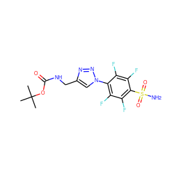 CC(C)(C)OC(=O)NCc1cn(-c2c(F)c(F)c(S(N)(=O)=O)c(F)c2F)nn1 ZINC000299828901