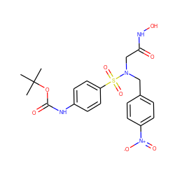 CC(C)(C)OC(=O)Nc1ccc(S(=O)(=O)N(CC(=O)NO)Cc2ccc([N+](=O)[O-])cc2)cc1 ZINC000013808275