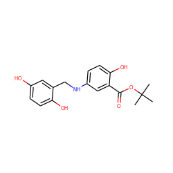 CC(C)(C)OC(=O)c1cc(NCc2cc(O)ccc2O)ccc1O ZINC000013735410