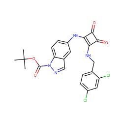 CC(C)(C)OC(=O)n1ncc2cc(Nc3c(NCc4ccc(Cl)cc4Cl)c(=O)c3=O)ccc21 ZINC000102977137