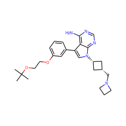 CC(C)(C)OCCOc1cccc(-c2cn([C@H]3C[C@@H](CN4CCC4)C3)c3ncnc(N)c23)c1 ZINC000653723583