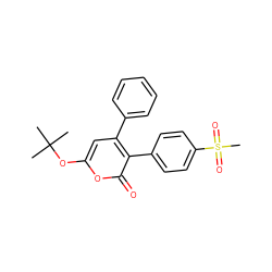 CC(C)(C)Oc1cc(-c2ccccc2)c(-c2ccc(S(C)(=O)=O)cc2)c(=O)o1 ZINC000013528599