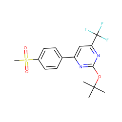 CC(C)(C)Oc1nc(-c2ccc(S(C)(=O)=O)cc2)cc(C(F)(F)F)n1 ZINC000043011729