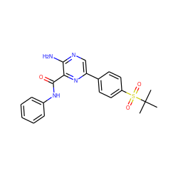 CC(C)(C)S(=O)(=O)c1ccc(-c2cnc(N)c(C(=O)Nc3ccccc3)n2)cc1 ZINC000071330319