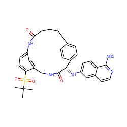 CC(C)(C)S(=O)(=O)c1ccc2cc1CNC(=O)[C@@H](Nc1ccc3c(N)nccc3c1)c1ccc(cc1)CCCC(=O)N2 ZINC000143890185