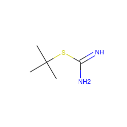 CC(C)(C)SC(=N)N ZINC000004280644