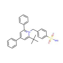 CC(C)(C)c1cc(-c2ccccc2)cc(-c2ccccc2)[n+]1Cc1ccc(S(N)(=O)=O)cc1 ZINC000027983413