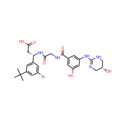 CC(C)(C)c1cc(Br)cc([C@H](CC(=O)O)NC(=O)CNC(=O)c2cc(O)cc(NC3=NC[C@@H](O)CN3)c2)c1 ZINC000146485349