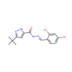 CC(C)(C)c1cc(C(=O)N/N=C/c2ccc(O)cc2O)[nH]n1 ZINC000004950397