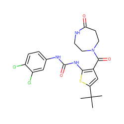 CC(C)(C)c1cc(C(=O)N2CCNC(=O)CC2)c(NC(=O)Nc2ccc(Cl)c(Cl)c2)s1 ZINC000082149468