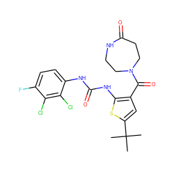 CC(C)(C)c1cc(C(=O)N2CCNC(=O)CC2)c(NC(=O)Nc2ccc(F)c(Cl)c2Cl)s1 ZINC000073199494