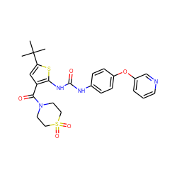 CC(C)(C)c1cc(C(=O)N2CCS(=O)(=O)CC2)c(NC(=O)Nc2ccc(Oc3cccnc3)cc2)s1 ZINC000066252704