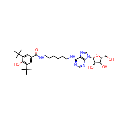 CC(C)(C)c1cc(C(=O)NCCCCCCNc2ncnc3c2ncn3[C@@H]2O[C@H](CO)[C@@H](O)[C@H]2O)cc(C(C)(C)C)c1O ZINC000028950690