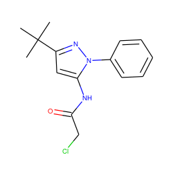 CC(C)(C)c1cc(NC(=O)CCl)n(-c2ccccc2)n1 ZINC000003252718