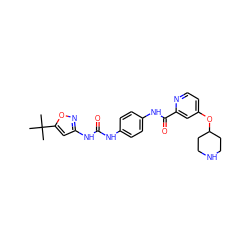 CC(C)(C)c1cc(NC(=O)Nc2ccc(NC(=O)c3cc(OC4CCNCC4)ccn3)cc2)no1 ZINC000095559120