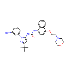 CC(C)(C)c1cc(NC(=O)Nc2ccc(OCCN3CCOCC3)c3ccccc23)n(-c2cccc(N)c2)n1 ZINC000013528342