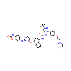 CC(C)(C)c1cc(NC(=O)Nc2ccc(Oc3ccnc(Nc4ccc5[nH]c(=O)oc5c4)n3)c3ccccc23)n(-c2ccc(OCCN3CCOCC3)cc2)n1 ZINC000211082129