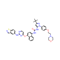 CC(C)(C)c1cc(NC(=O)Nc2ccc(Oc3ccnc(Nc4ccc5sncc5c4)n3)c3ccccc23)n(-c2ccc(OCCN3CCOCC3)cc2)n1 ZINC000211087706