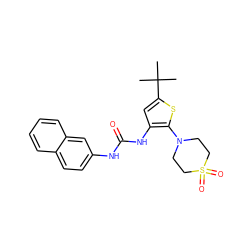 CC(C)(C)c1cc(NC(=O)Nc2ccc3ccccc3c2)c(N2CCS(=O)(=O)CC2)s1 ZINC000034662376