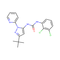 CC(C)(C)c1cc(NC(=O)Nc2cccc(Cl)c2Cl)n(-c2ccccn2)n1 ZINC000003832109