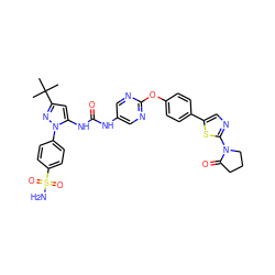 CC(C)(C)c1cc(NC(=O)Nc2cnc(Oc3ccc(-c4cnc(N5CCCC5=O)s4)cc3)nc2)n(-c2ccc(S(N)(=O)=O)cc2)n1 ZINC000223442731