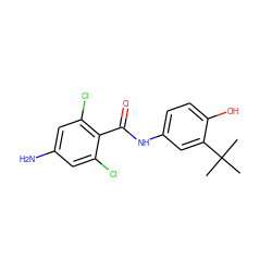 CC(C)(C)c1cc(NC(=O)c2c(Cl)cc(N)cc2Cl)ccc1O ZINC000473116238