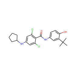 CC(C)(C)c1cc(NC(=O)c2c(Cl)cc(NC3CCCC3)cc2Cl)ccc1O ZINC000473113578