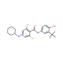 CC(C)(C)c1cc(NC(=O)c2c(Cl)cc(NC3CCCCC3)cc2Cl)ccc1O ZINC000473114722