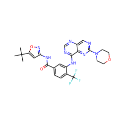 CC(C)(C)c1cc(NC(=O)c2ccc(C(F)(F)F)c(Nc3ncnc4cnc(N5CCOCC5)nc34)c2)no1 ZINC000148082772