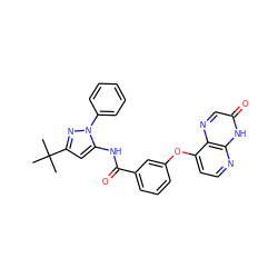 CC(C)(C)c1cc(NC(=O)c2cccc(Oc3ccnc4[nH]c(=O)cnc34)c2)n(-c2ccccc2)n1 ZINC000058538253