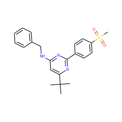 CC(C)(C)c1cc(NCc2ccccc2)nc(-c2ccc(S(C)(=O)=O)cc2)n1 ZINC000029131734