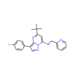 CC(C)(C)c1cc(NCc2ccccn2)n2ncc(-c3ccc(Cl)cc3)c2n1 ZINC000008657900