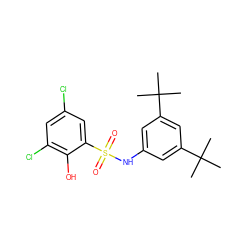 CC(C)(C)c1cc(NS(=O)(=O)c2cc(Cl)cc(Cl)c2O)cc(C(C)(C)C)c1 ZINC000028951295