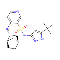 CC(C)(C)c1cc(NS(=O)(=O)c2cnccc2N[C@@H]2C[C@H]3CC[C@@H]2C3)n[nH]1 ZINC000071315868