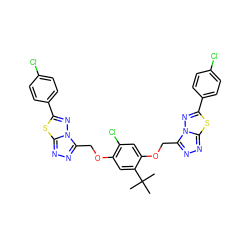 CC(C)(C)c1cc(OCc2nnc3sc(-c4ccc(Cl)cc4)nn23)c(Cl)cc1OCc1nnc2sc(-c3ccc(Cl)cc3)nn12 ZINC000082178494