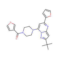 CC(C)(C)c1cc2nc(-c3ccco3)cc(N3CCN(C(=O)c4ccoc4)CC3)n2n1 ZINC000095567937