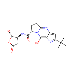 CC(C)(C)c1cc2nc3n(c(O)c-2n1)[C@H](C(=O)N[C@H]1CC(=O)O[C@@H]1O)CC3 ZINC000101032340