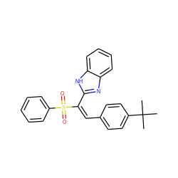 CC(C)(C)c1ccc(/C=C(\c2nc3ccccc3[nH]2)S(=O)(=O)c2ccccc2)cc1 ZINC000005264334