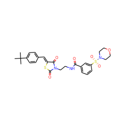 CC(C)(C)c1ccc(/C=C2\SC(=O)N(CCNC(=O)c3cccc(S(=O)(=O)N4CCOCC4)c3)C2=O)cc1 ZINC000008684412