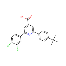 CC(C)(C)c1ccc(-c2cc(C(=O)O)cc(-c3ccc(Cl)c(Cl)c3)n2)cc1 ZINC000029467105