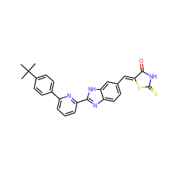 CC(C)(C)c1ccc(-c2cccc(-c3nc4ccc(/C=C5\SC(=S)NC5=O)cc4[nH]3)n2)cc1 ZINC000028569896