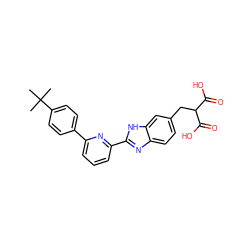 CC(C)(C)c1ccc(-c2cccc(-c3nc4ccc(CC(C(=O)O)C(=O)O)cc4[nH]3)n2)cc1 ZINC000028571599