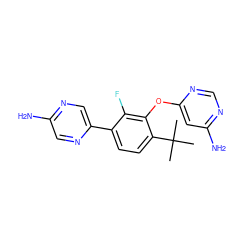 CC(C)(C)c1ccc(-c2cnc(N)cn2)c(F)c1Oc1cc(N)ncn1 ZINC000224558799