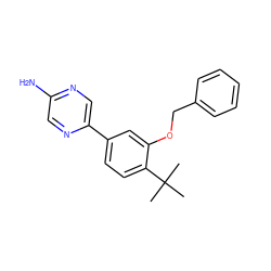 CC(C)(C)c1ccc(-c2cnc(N)cn2)cc1OCc1ccccc1 ZINC000224582161